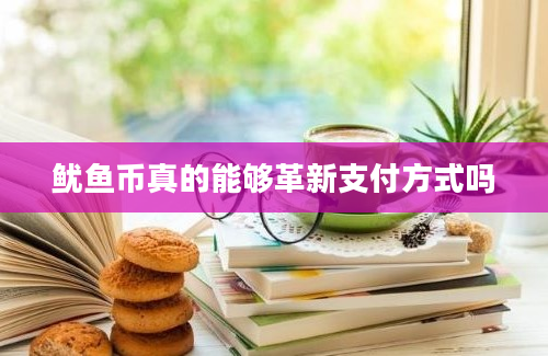 鱿鱼币真的能够革新支付方式吗