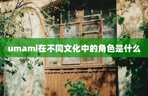 umami在不同文化中的角色是什么