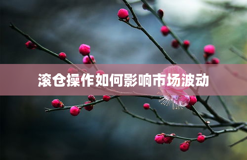 滚仓操作如何影响市场波动