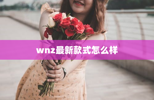 wnz最新款式怎么样