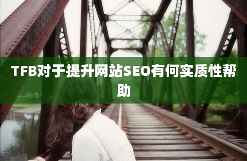 TFB对于提升网站SEO有何实质性帮助