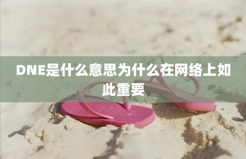 DNE是什么意思为什么在网络上如此重要