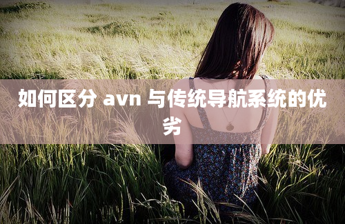 如何区分 avn 与传统导航系统的优劣