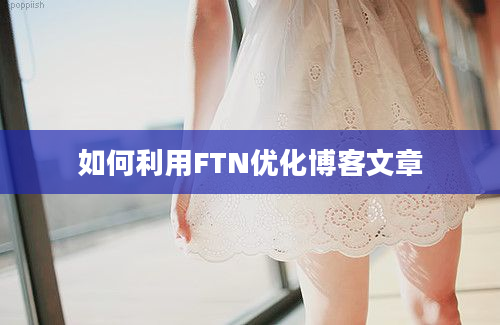 如何利用FTN优化博客文章