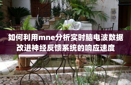 如何利用mne分析实时脑电波数据改进神经反馈系统的响应速度