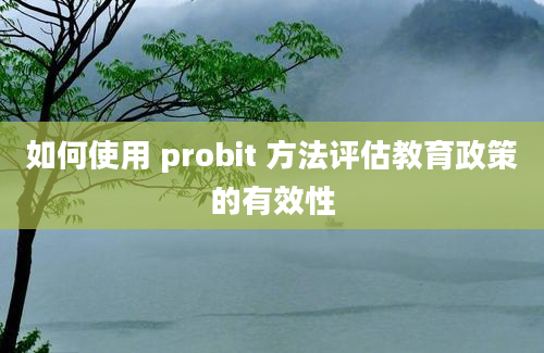 如何使用 probit 方法评估教育政策的有效性