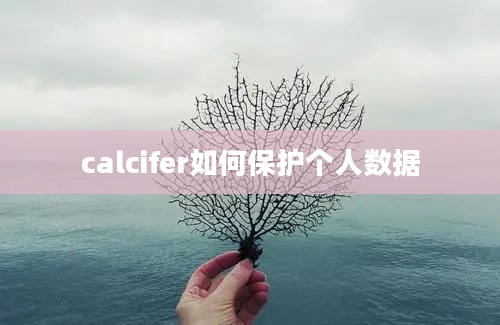 calcifer如何保护个人数据