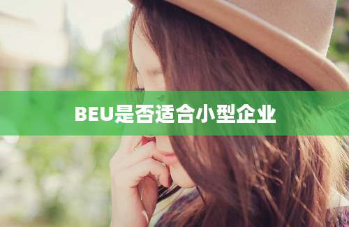 BEU是否适合小型企业