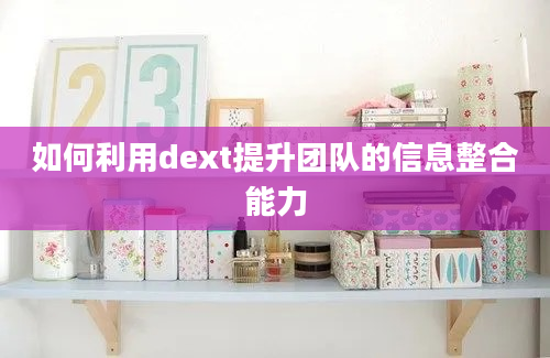 如何利用dext提升团队的信息整合能力