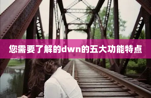 您需要了解的dwn的五大功能特点