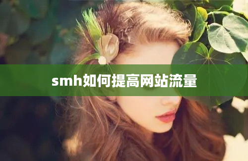 smh如何提高网站流量