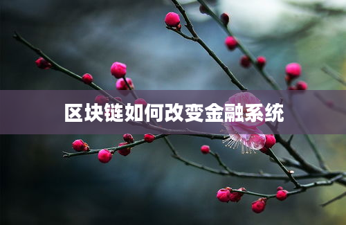 区块链如何改变金融系统