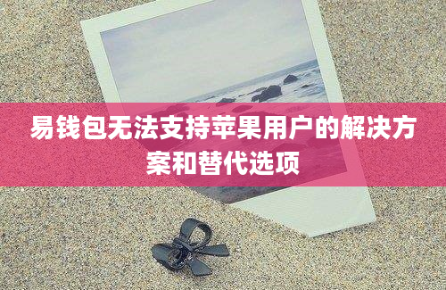 易钱包无法支持苹果用户的解决方案和替代选项