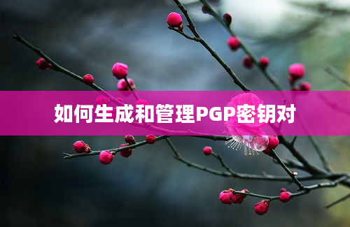 如何生成和管理PGP密钥对