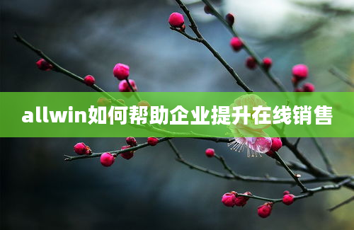 allwin如何帮助企业提升在线销售