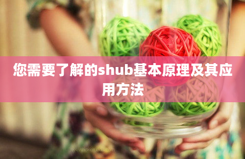 您需要了解的shub基本原理及其应用方法