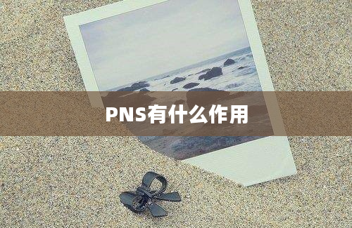 PNS有什么作用