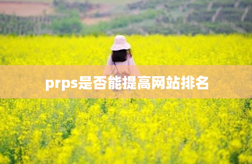 prps是否能提高网站排名