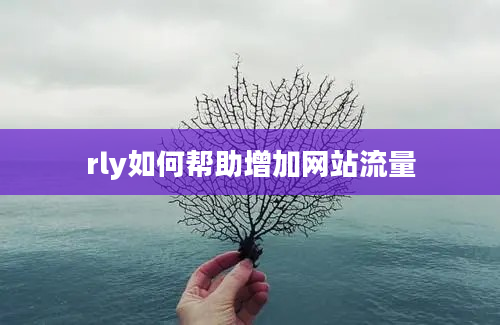 rly如何帮助增加网站流量