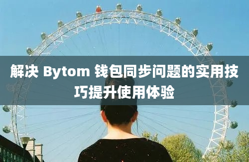 解决 Bytom 钱包同步问题的实用技巧提升使用体验