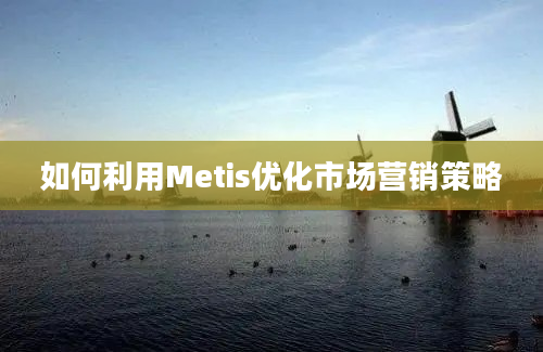 如何利用Metis优化市场营销策略