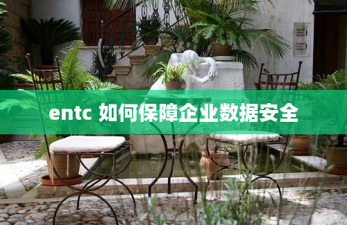 entc 如何保障企业数据安全