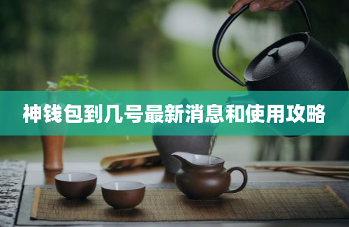 神钱包到几号最新消息和使用攻略