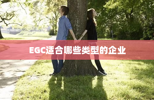 EGC适合哪些类型的企业