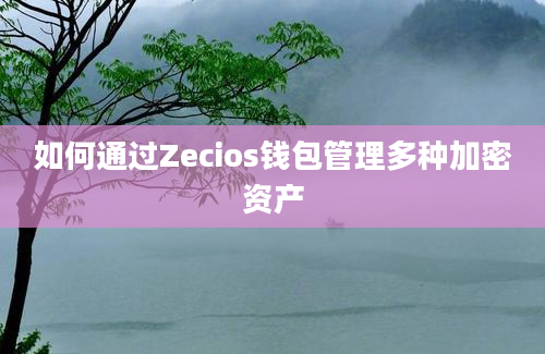 如何通过Zecios钱包管理多种加密资产