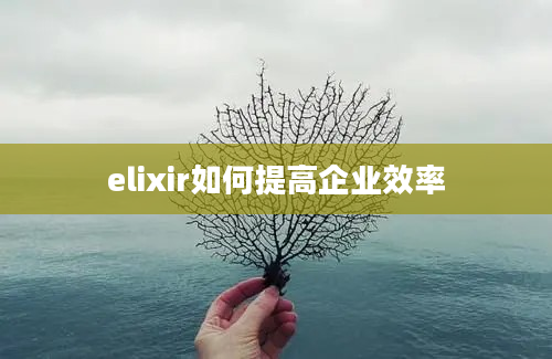 elixir如何提高企业效率