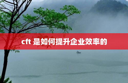 cft 是如何提升企业效率的