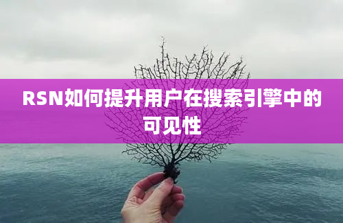 RSN如何提升用户在搜索引擎中的可见性