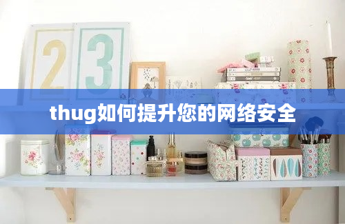 thug如何提升您的网络安全