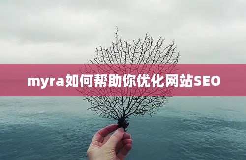 myra如何帮助你优化网站SEO