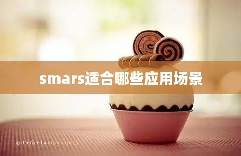 smars适合哪些应用场景