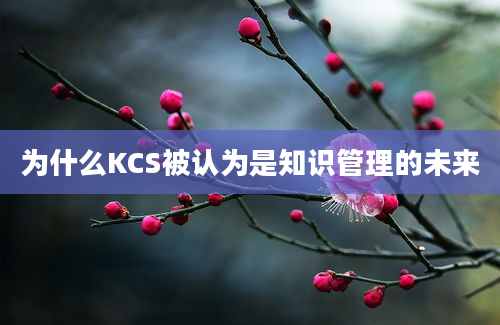 为什么KCS被认为是知识管理的未来