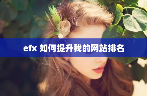 efx 如何提升我的网站排名