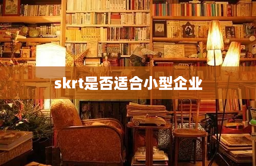 skrt是否适合小型企业