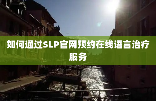 如何通过SLP官网预约在线语言治疗服务