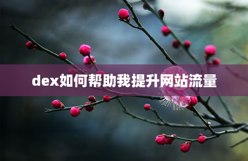 dex如何帮助我提升网站流量