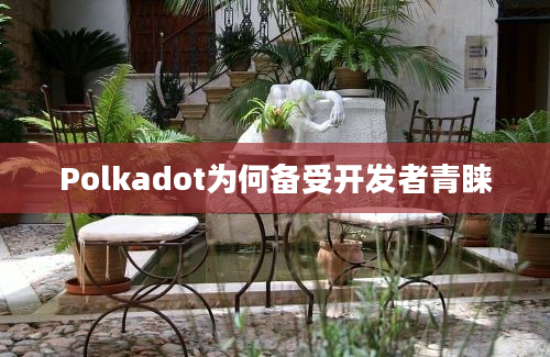 Polkadot为何备受开发者青睐