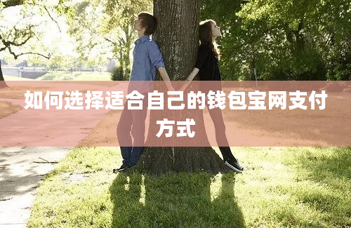 如何选择适合自己的钱包宝网支付方式