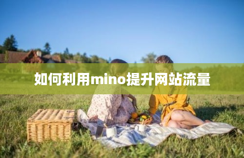 如何利用mino提升网站流量