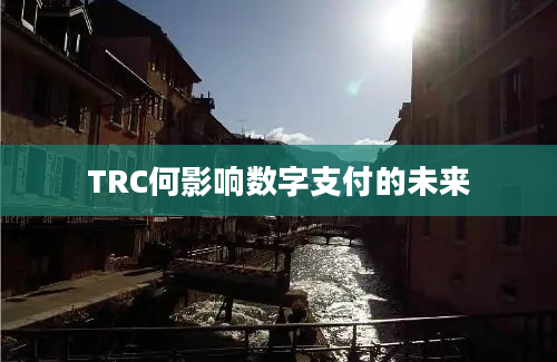 TRC何影响数字支付的未来