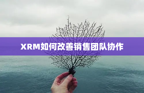 XRM如何改善销售团队协作