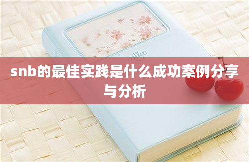 snb的最佳实践是什么成功案例分享与分析