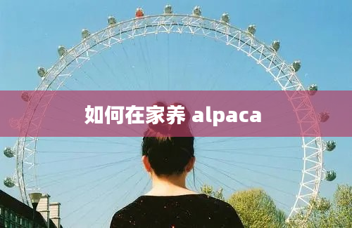 如何在家养 alpaca