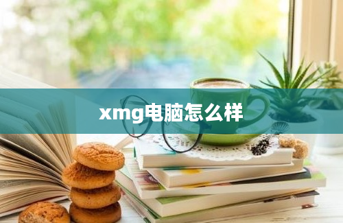 xmg电脑怎么样