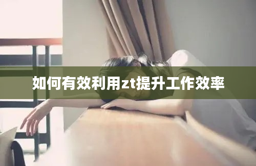 如何有效利用zt提升工作效率