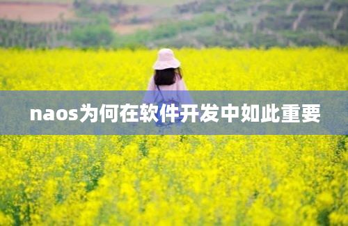 naos为何在软件开发中如此重要